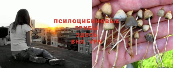 марки nbome Осташков