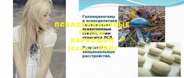 ALPHA PVP Осинники