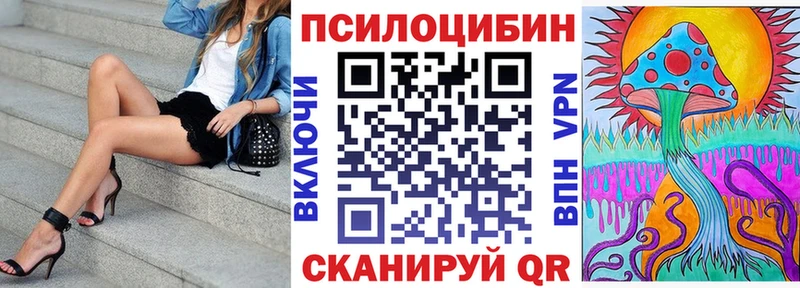 omg ONION  Судогда  Псилоцибиновые грибы MAGIC MUSHROOMS 