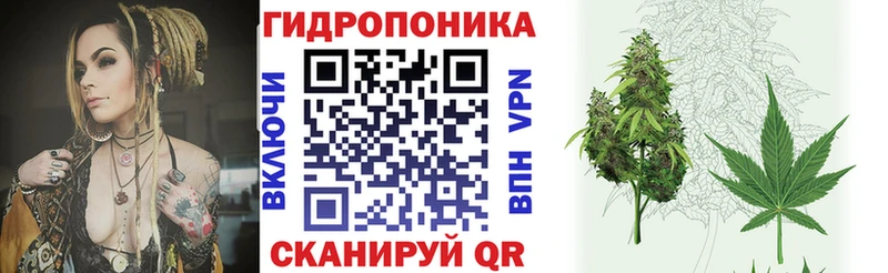 Бошки марихуана AK-47  нарко площадка официальный сайт  Судогда  что такое  