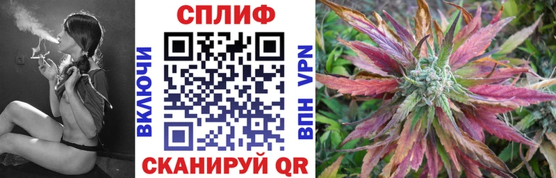 Каннабис индика Судогда